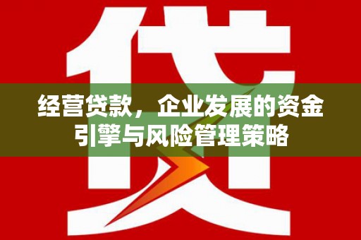 浪卡子经营贷款，企业发展的资金引擎与风险管理策略