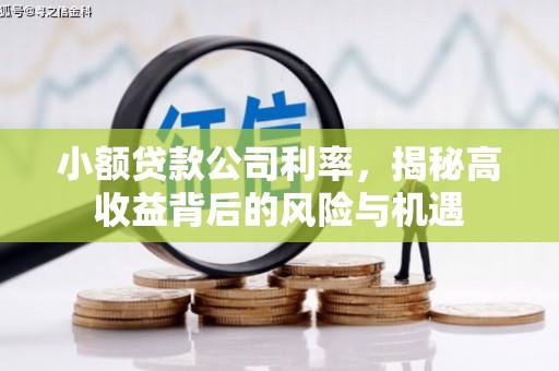 浪卡子小额贷款公司利率，揭秘高收益背后的风险与机遇