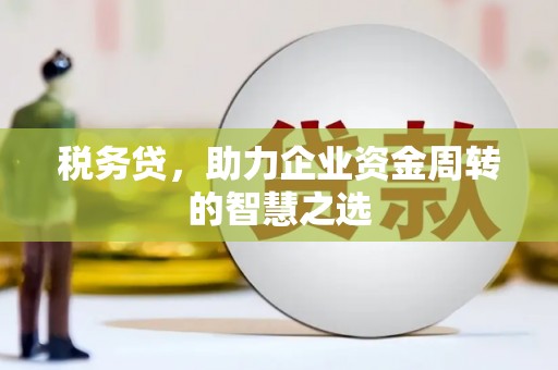 浪卡子税务贷，助力企业资金周转的智慧之选