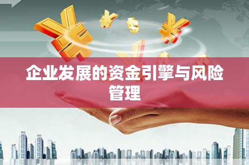 浪卡子企业发展的资金引擎与风险管理