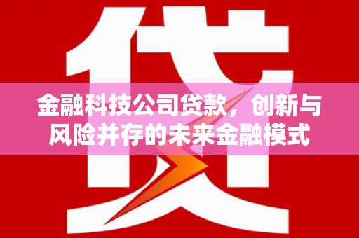 浪卡子金融科技公司贷款，创新与风险并存的未来金融模式