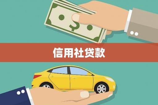 浪卡子信用社贷款