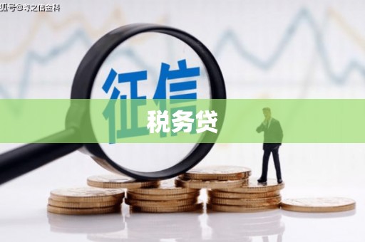 浪卡子税务贷