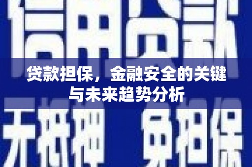 浪卡子贷款担保，金融安全的关键与未来趋势分析