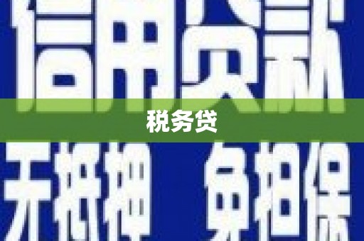 浪卡子税务贷