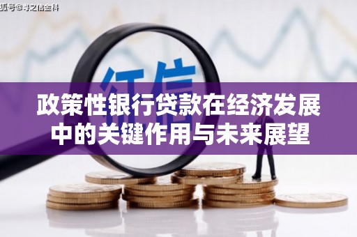 浪卡子政策性银行贷款在经济发展中的关键作用与未来展望
