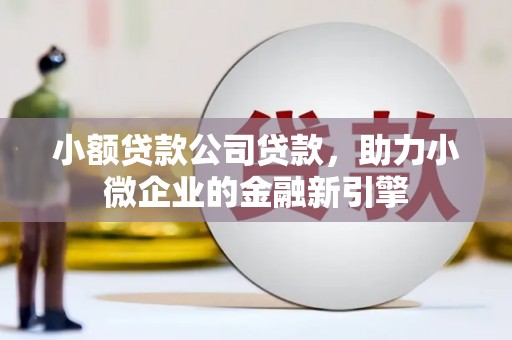 浪卡子小额贷款公司贷款，助力小微企业的金融新引擎
