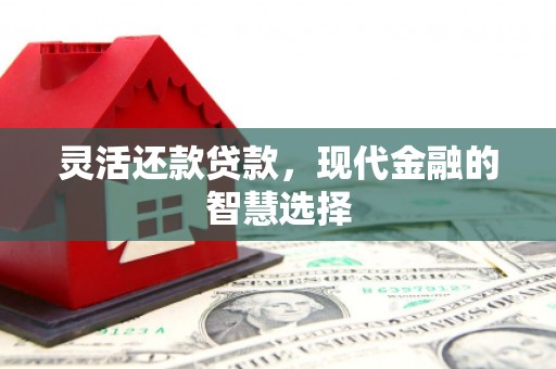浪卡子灵活还款贷款，现代金融的智慧选择