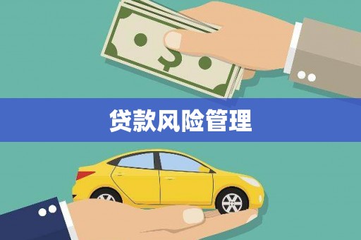 浪卡子贷款风险管理