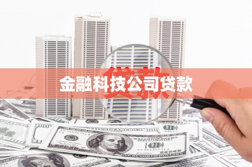 浪卡子金融科技公司贷款