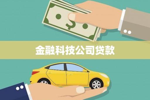 浪卡子金融科技公司贷款