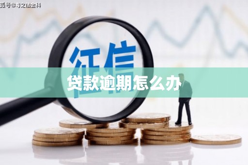 浪卡子贷款逾期怎么办