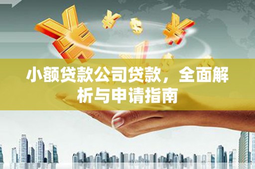 浪卡子小额贷款公司贷款，全面解析与申请指南