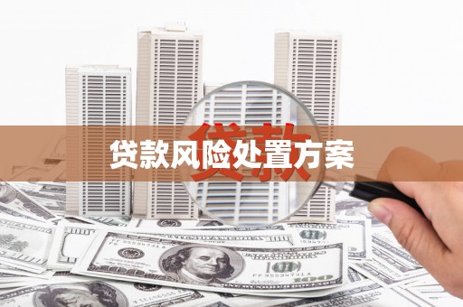 浪卡子贷款风险处置方案