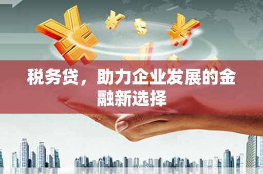 浪卡子税务贷，助力企业发展的金融新选择