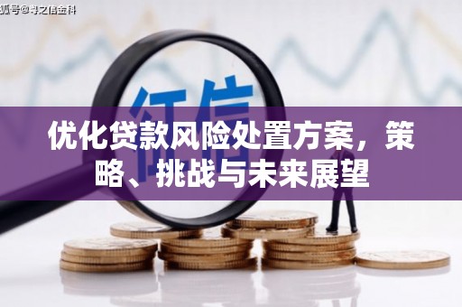 浪卡子优化贷款风险处置方案，策略、挑战与未来展望