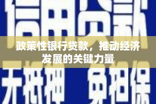 浪卡子政策性银行贷款，推动经济发展的关键力量