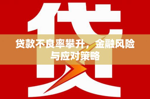 浪卡子贷款不良率攀升，金融风险与应对策略