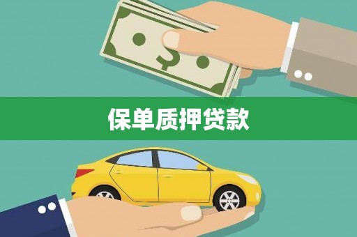 浪卡子保单质押贷款
