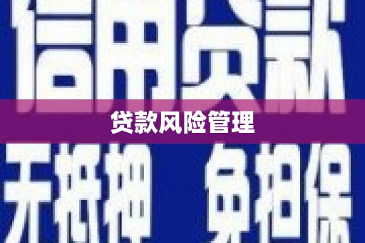 浪卡子贷款风险管理