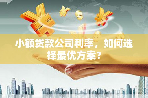 浪卡子小额贷款公司利率，如何选择最优方案？