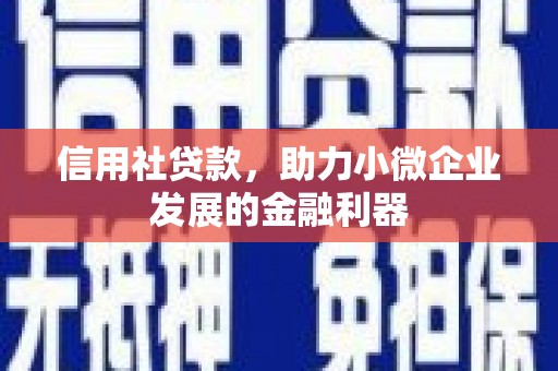 浪卡子信用社贷款，助力小微企业发展的金融利器
