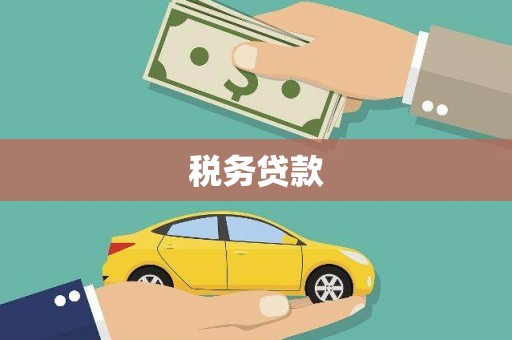 浪卡子税务贷款