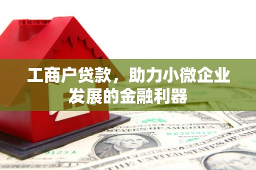 浪卡子工商户贷款，助力小微企业发展的金融利器