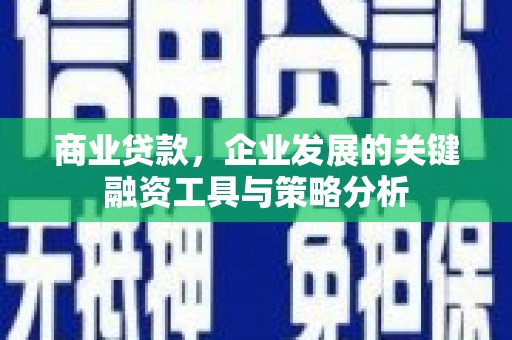 浪卡子商业贷款，企业发展的关键融资工具与策略分析