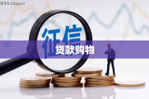 浪卡子贷款购物