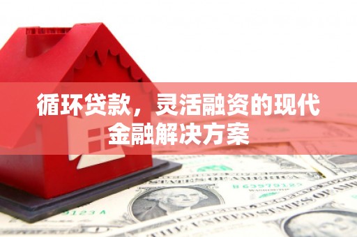 浪卡子循环贷款，灵活融资的现代金融解决方案