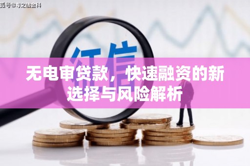 浪卡子无电审贷款，快速融资的新选择与风险解析