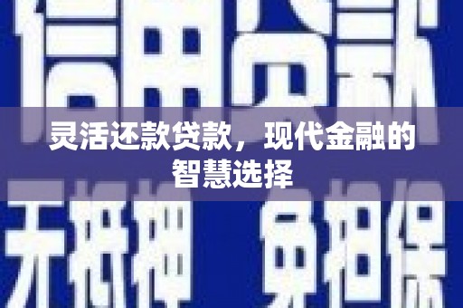 浪卡子灵活还款贷款，现代金融的智慧选择