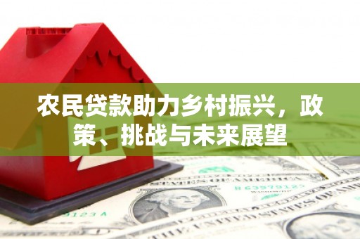 浪卡子农民贷款助力乡村振兴，政策、挑战与未来展望