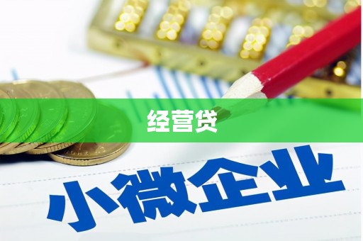 浪卡子经营贷