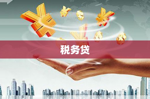 浪卡子税务贷