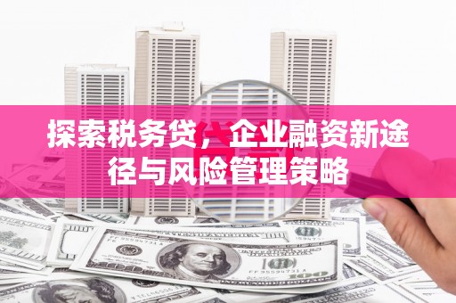 浪卡子探索税务贷，企业融资新途径与风险管理策略