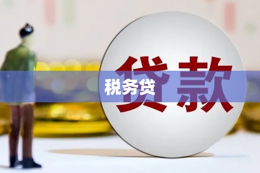浪卡子税务贷