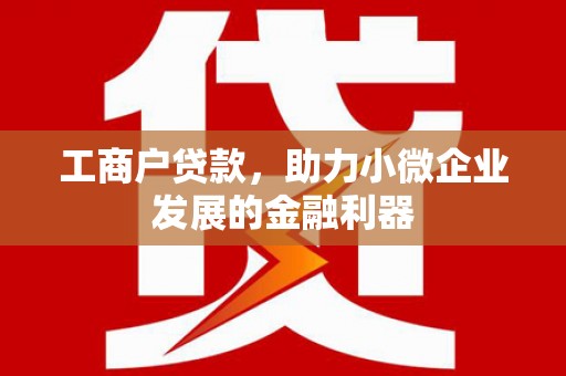浪卡子工商户贷款，助力小微企业发展的金融利器
