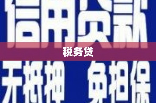 浪卡子税务贷