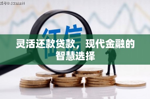 浪卡子灵活还款贷款，现代金融的智慧选择