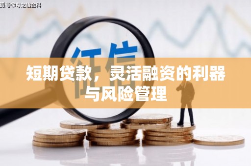 浪卡子短期贷款，灵活融资的利器与风险管理