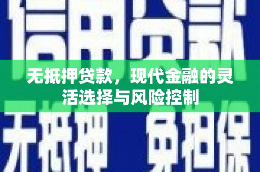 浪卡子无抵押贷款，现代金融的灵活选择与风险控制