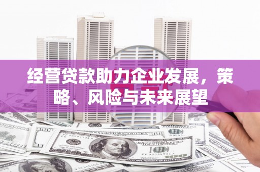 浪卡子经营贷款助力企业发展，策略、风险与未来展望