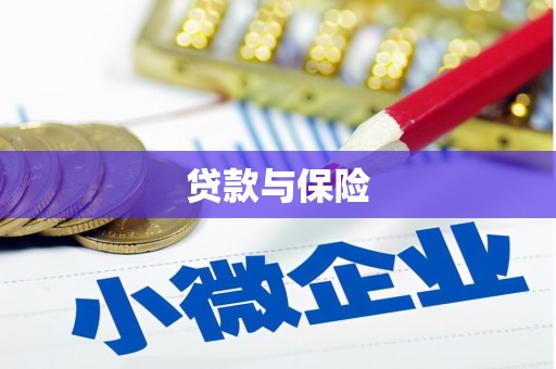 浪卡子贷款与保险