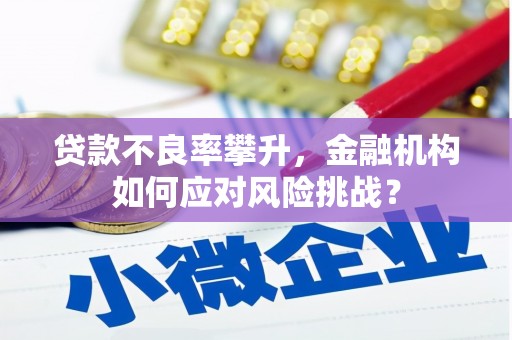 浪卡子贷款不良率攀升，金融机构如何应对风险挑战？