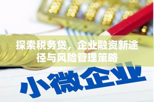 浪卡子探索税务贷，企业融资新途径与风险管理策略
