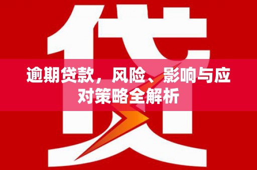 浪卡子逾期贷款，风险、影响与应对策略全解析