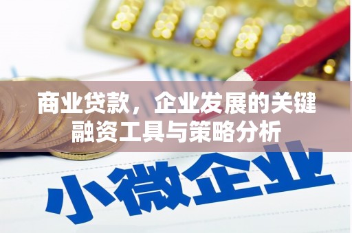 浪卡子商业贷款，企业发展的关键融资工具与策略分析