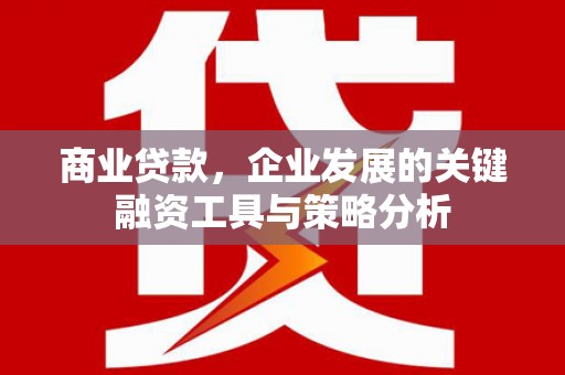 浪卡子商业贷款，企业发展的关键融资工具与策略分析